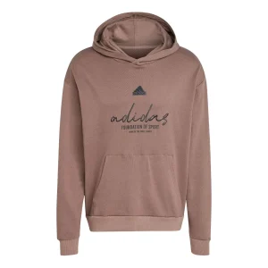 adidas Brand Love French Terry Hoodie Asia Sizing 'Valentine's Day Brown' IW3534