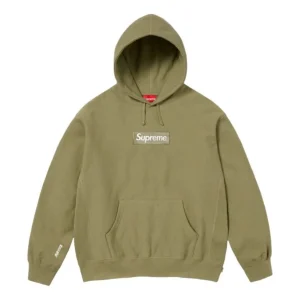 Supreme FW25 Box Logo Hoodie 'Green' SUP-FW25-094-GRN