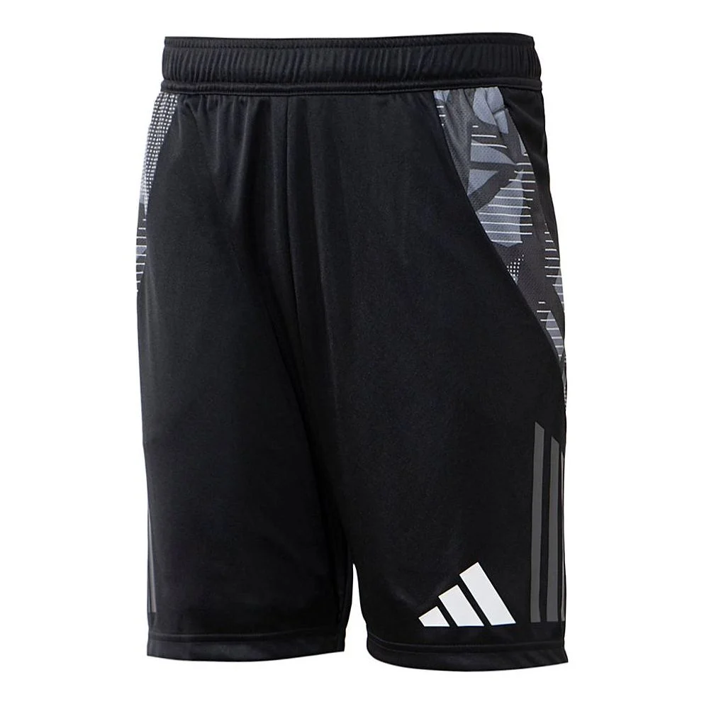 adidas Tiro 24 Competition Training Football Shorts Asia Sizing 'Black Grey' IL8256