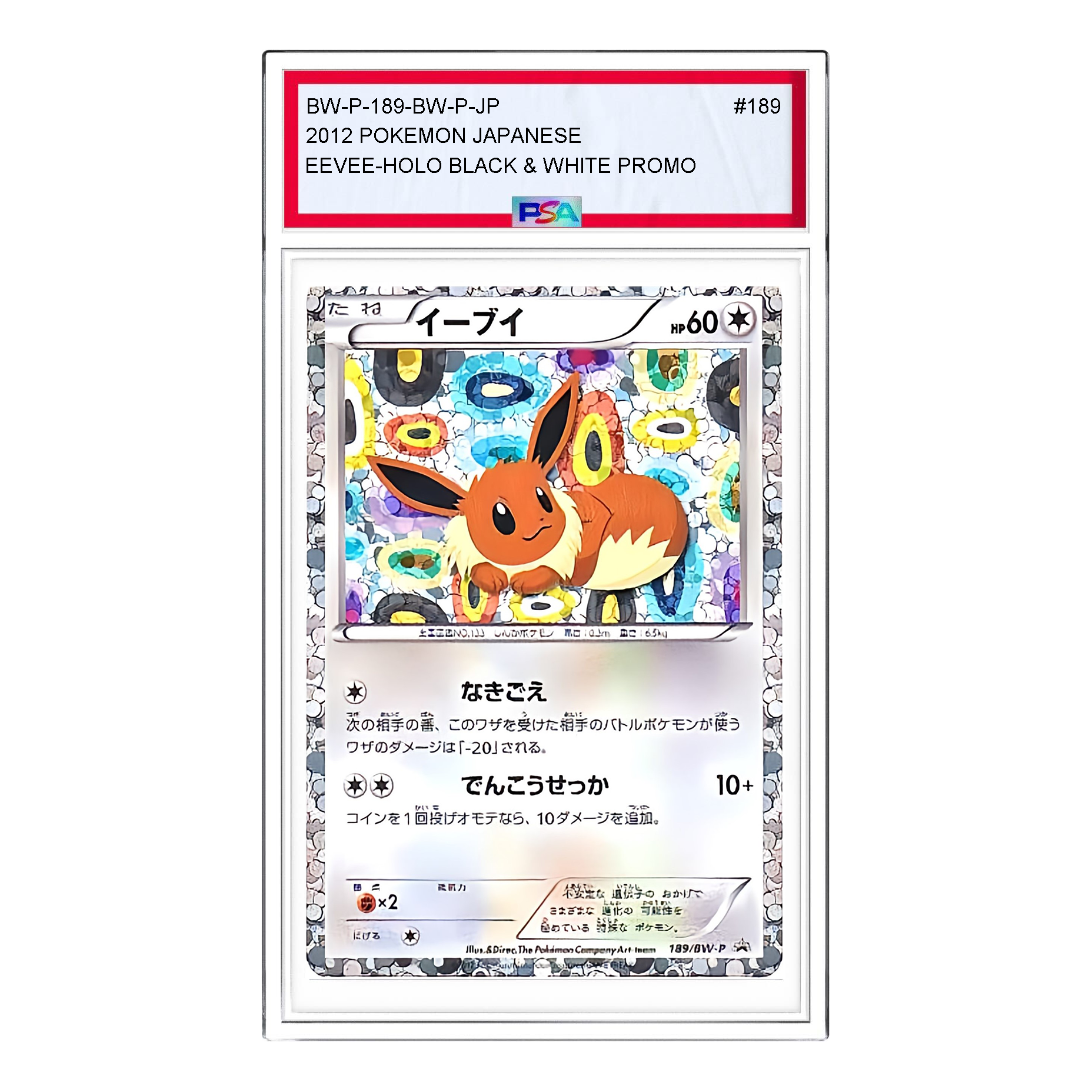 Pokemon BW-P Promotional cards [BW-P 189/BW-P] 'Eevee: PROMO' BW-P-189-BW-P-JP