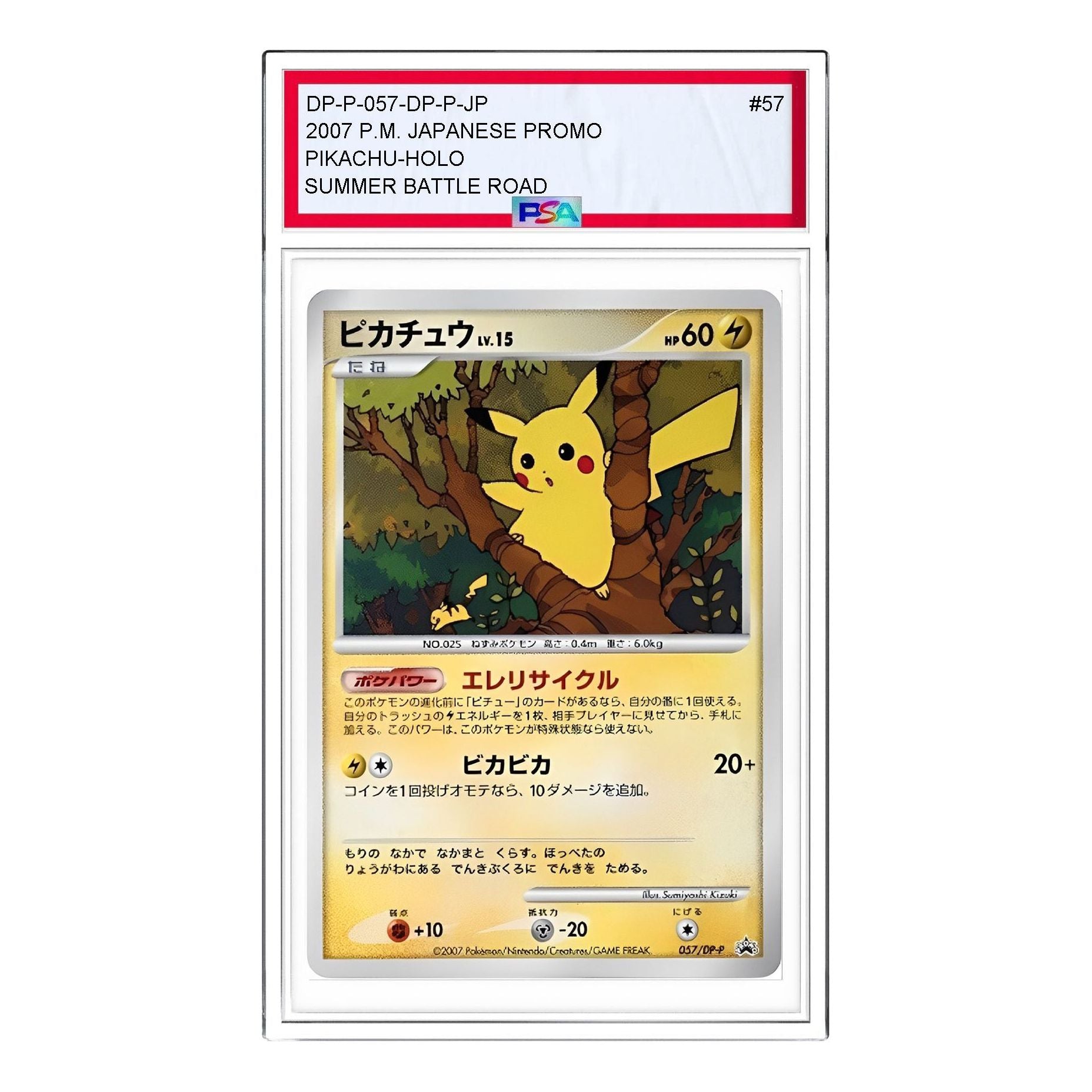 Pokemon DP-P Promotional cards [DP-P 057/DP-P] 'Pikachu: PROMO' DP-P-057-DP-P-JP