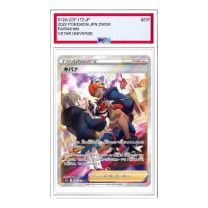 Pokemon VSTAR  Universe [s12a 237/172] 'Raihan SAR' S12A-237-172-JP