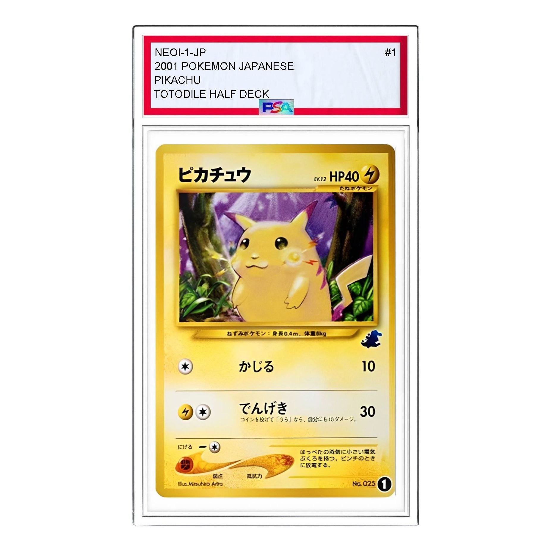 Pokemon Card JP Intro Packneo [neoI 1] 'Pikachu: Old Back' NEOI-1-JP