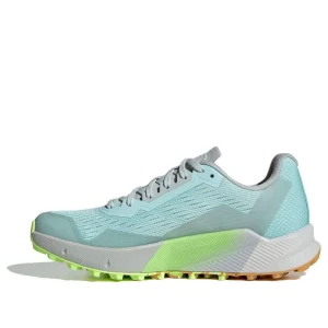 (WMNS) adidas Terrex Agravic Flow 2.0 Trail Running 'Lake Green' IF5020