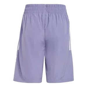 (GS) adidas Originals Adicolor Shorts 'Purple' IC6265