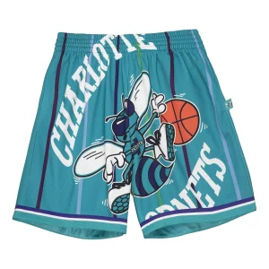 Mitchell & Ness x NBA Big Face Shorts 'Charlotte Hornets' SHORBW19147-CHOHRBL