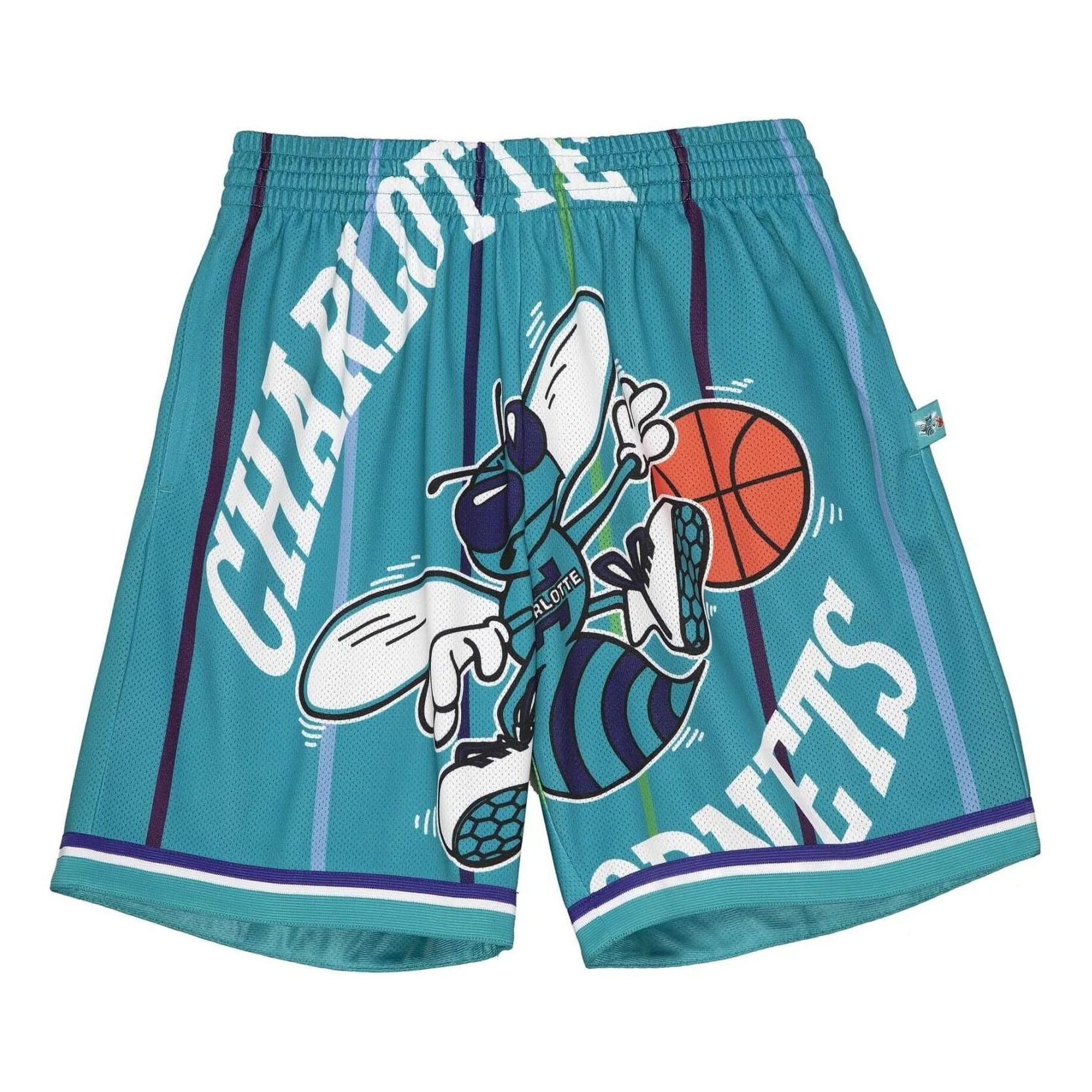 Mitchell & Ness x NBA Big Face Shorts 'Charlotte Hornets' SHORBW19147-CHOHRBL