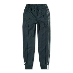 adidas Consortium Pants x Alexander Wang CG1997