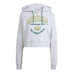 (WMNS) adidas VARSITY Graphic Hoodie Asia Sizing 'Grey' IT9846