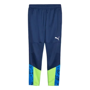 PUMA individualCUP Football Training Pants 'Blue Green' 658487-54