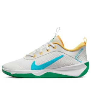 (GS) Nike Omni Multi-Court 'Spring Colors' FJ7719-141