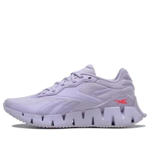 (WMNS) Reebok Zig Dynamica 4 'Purple Oasis' HR1379