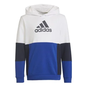 (GS) adidas Colourblock Hoodie Asia Sizing 'Blue White' HG6826