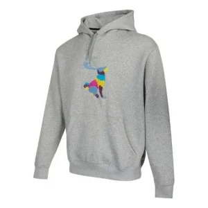 Nike graphic hoodie 'Grey' DH2882-063