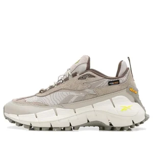 Reebok Zig Kinetica 2.5 Edge 'Moon Stone Ash' 100074671