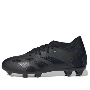 (GS) adidas Predator Accuracy.3 FG 'Black' GW4610