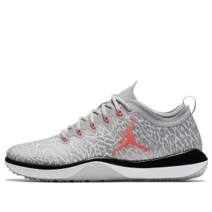 Air Jordan Trainer 1 Low 'Wolf Grey' 845403-103