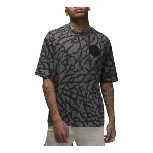 Air Jordan x Paris Saint-Germain Graphic T-Shirt 'Grey' DZ2911-068