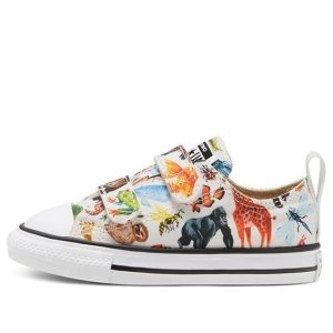 (TD) Converse Chuck Taylor All Star 2v Little 'White Multi' 768463C