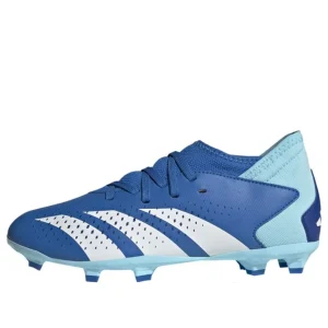 (GS) adidas Predator Accuracy.3 FG 'Marinerush Pack' IE9503