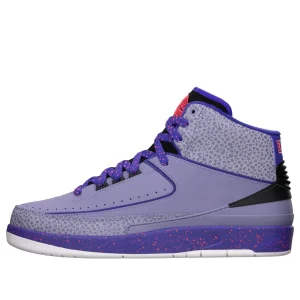 Air Jordan 2 Retro 'Iron Purple' 385475-553