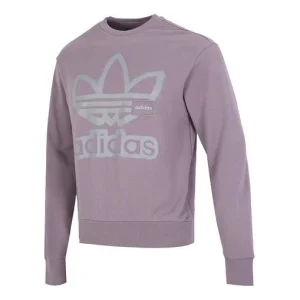 adidas originals Adicolor Crew Sweatshirt HS1997