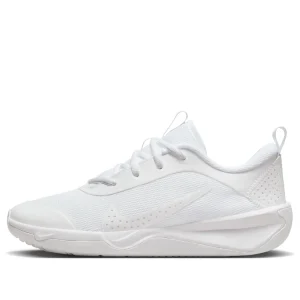 (GS) Nike Omni MultiCourt 'White Pure Platinum' DM9027-100