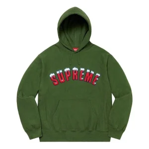 Supreme FW20 Week 1 Icy Arc Hoodie 'Olivegreen' SUP-FW20-004