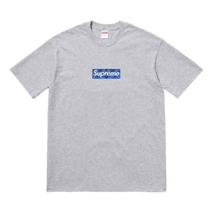 Supreme FW19 Week 17 Bandana Box Logo Tee cashew Short Sleeve Unisex Gray SUP-FW19-10902