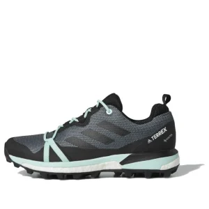 (WMNS) adidas Terrex Skychaser LT GTX 'Ash Grey Mint' F36120