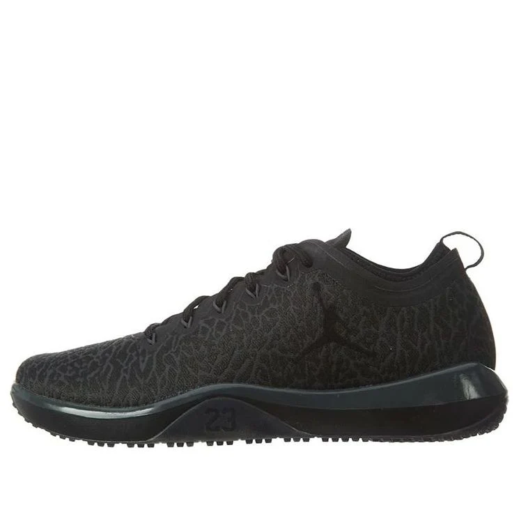 Air Jordan Trainer Low 'Black Anthracite' 845403-002