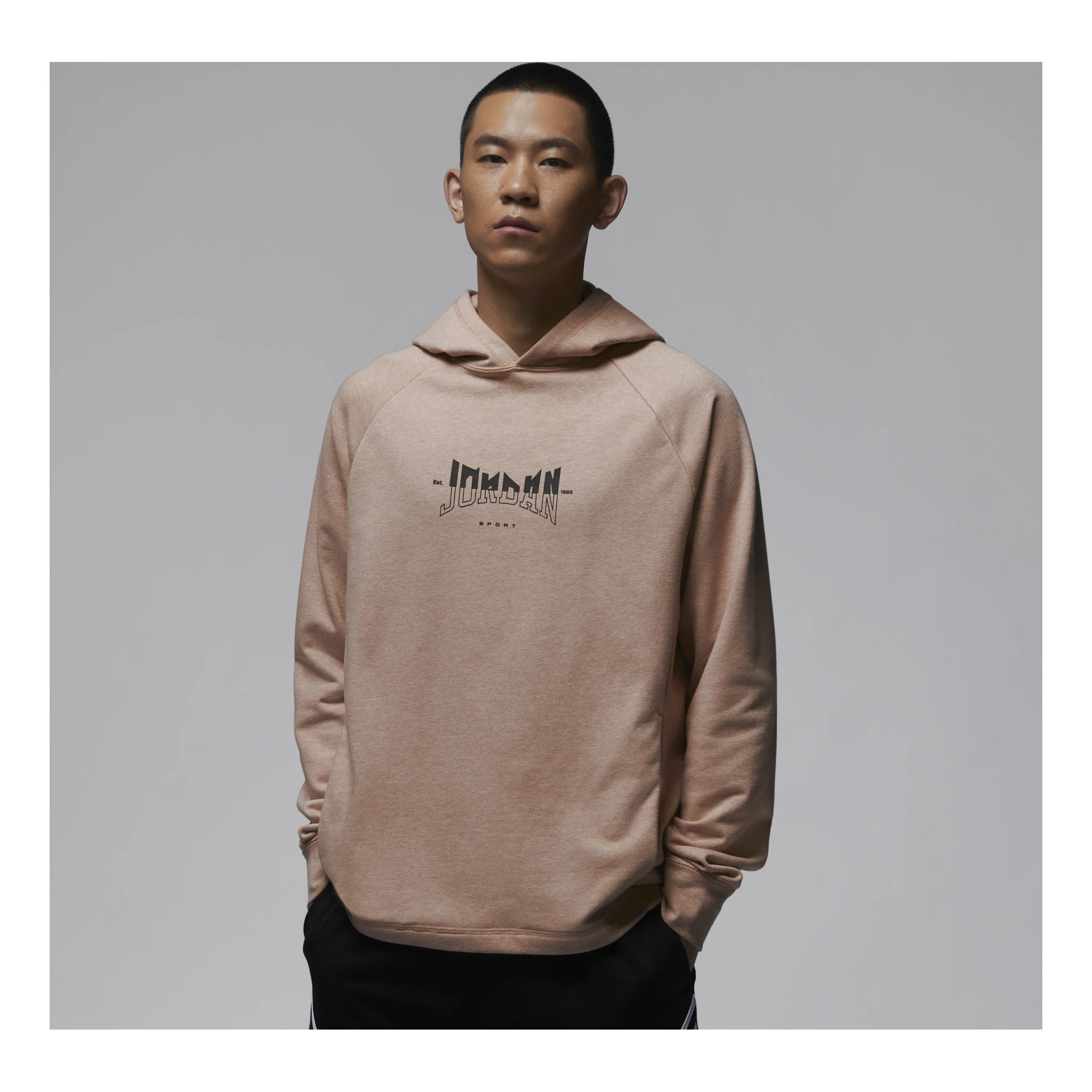Air Jordan Dri-FIT Hoodie 'Brown' FQ6809-201