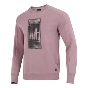 adidas graphic printed sweatshirt 'Rose' HN8971