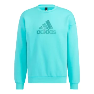 Men's adidas Logo Printing Pattern Pullover Round Neck Long Sleeves Blue HM2983