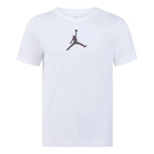 Men's Air Jordan Dri-FIT 3D Logo Funny Printing Knit Quick Dry Short Sleeve White T-Shirt CZ8088-100