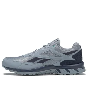 Reebok Ridgerider 5.0 'Meteor Grey' FW5275