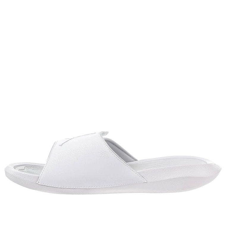 Air Jordan Hydro 6 'Pure Platinum' 881473-120