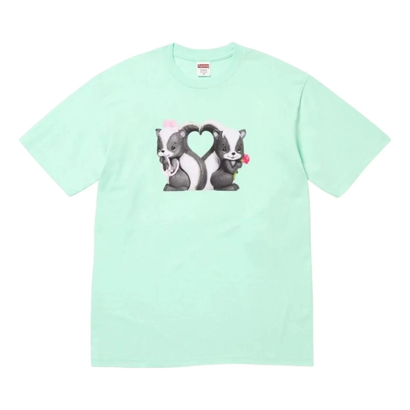 Supreme SS26 Skunk T-Shirt 'Mint' SUP-SS26-351-MNT